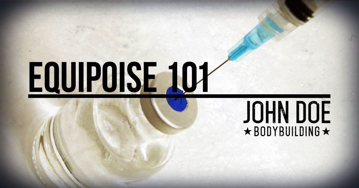 Equipoise 101 All About EQ aka Boldenone Undecylenate