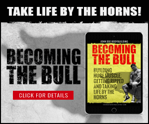 Becoming The Bull ebook